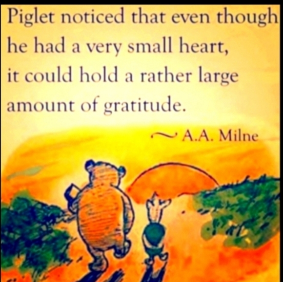 🍁 EPLC Tommy Hilfiger WOMAN Argyle CARDIGAN SZ LG- 1X - Picture 7 of 16